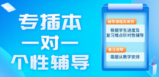 一对一个性辅导