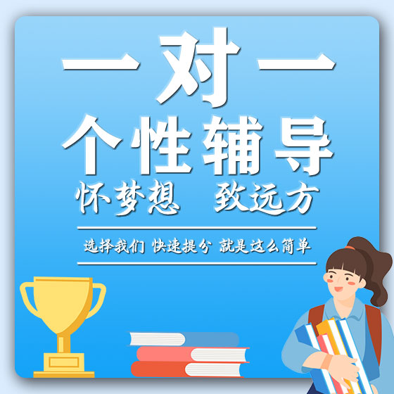 一对一个性辅导