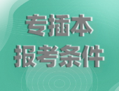 广东专插本报考有什么条件？能报考几次呢？