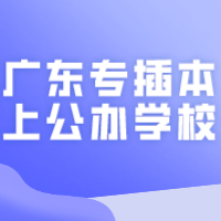 广东专插本多少分可以上公办学校？