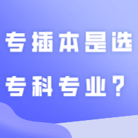 选择困难！专插本是选专科专业？还是跨专业？看看这些建议！