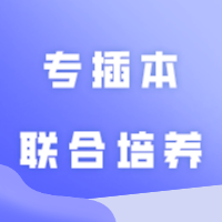 广东专插本里，什么叫专插本联合培养？