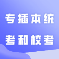 广东专插本统考和校考哪个更好上岸？