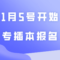 重磅！1月5号开始专插本报名？！已发布消息汇总！