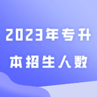 盘点2023年专升本招生人数最多的院校！最多的7700+计划人数
