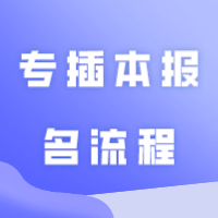 2024专插本报名流程来啦！超详细！