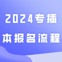 报名开始！2024专插本报名流程来啦！超详细！