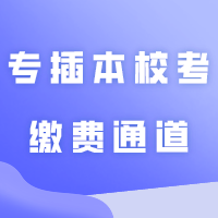 4所专插本校考缴费通道开启！尚未缴费的同学抓紧时间了！