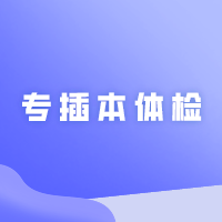专插本体检
