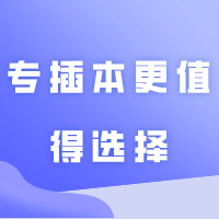 专升本的途径那么多，为什么专插本更值得选择？每年十几万考生报名！