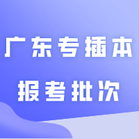 @25届考生，广东专插本的3种报考批次你都了解吗？
