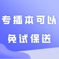 专插本不仅可以加分,还可以免试保送?相关条件了解一下!