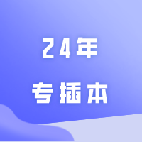 24年专插本，明显开始变了！！