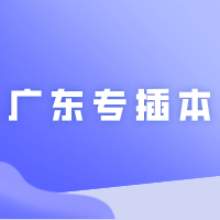 2024年广东专插本的“四大名补”是哪几所学校？