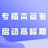 现在正是专插本备考启动高峰期,你是如何开始备考的?