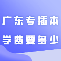 广东专插本学费要多少?各省插本学费对比!