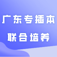 广东专插本联合培养是什么?你想知道的都在这里!!
