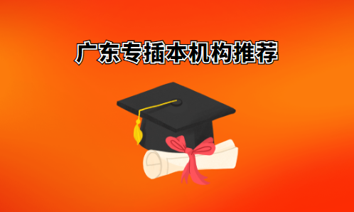 广东专插本培训机构排名！自学好还是报班好？(图1)